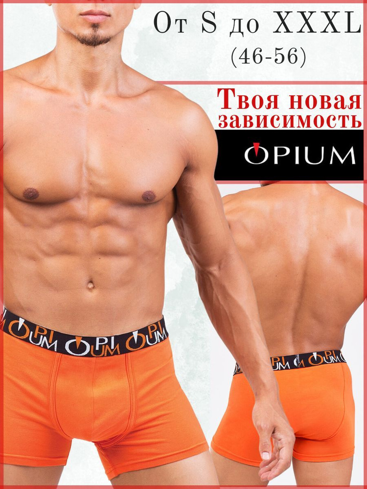 Трусы боксеры OPIUM Нижнее белье, 1 шт - купить с доставкой по выгоднымценам в интернет-магазине OZON (923197535)