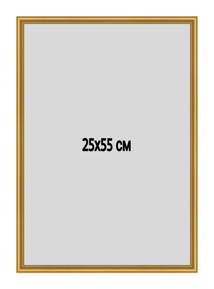 Фоторамка металлическая (алюминиевая) золотая для постера,фотографии,картины 25х55 см.Рамка для зеркала.Подарок #1