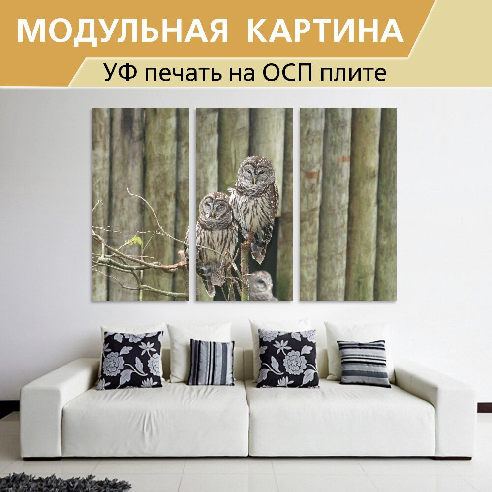 Модульная картина "Сова, совы, зоопарк" для интерьера на стену / Декор в дома, спальню, на кухню, детскую комнату, 190 см х 125 см - купить по низкой цене в интернет-магазине OZON (962875020)