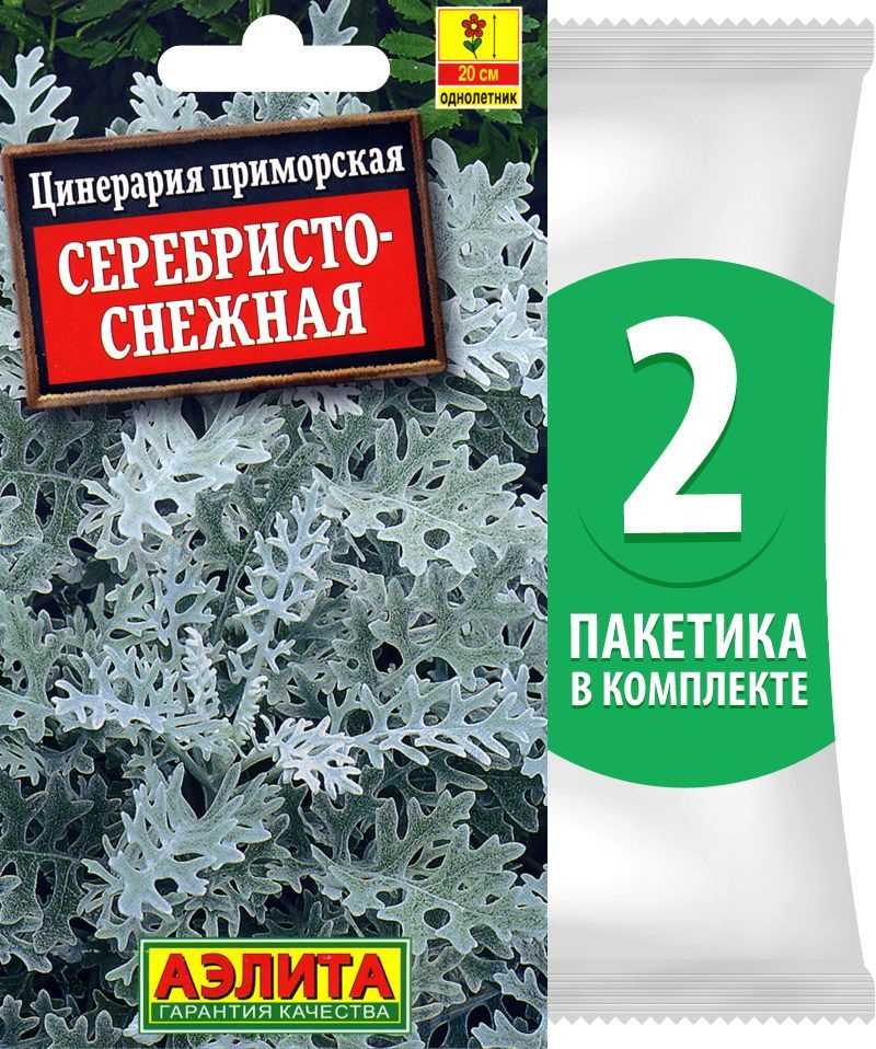 Семена Цинерария приморская Серебристо-Снежная, 2 пакетика по 0,1г/170шт в каждом  #1