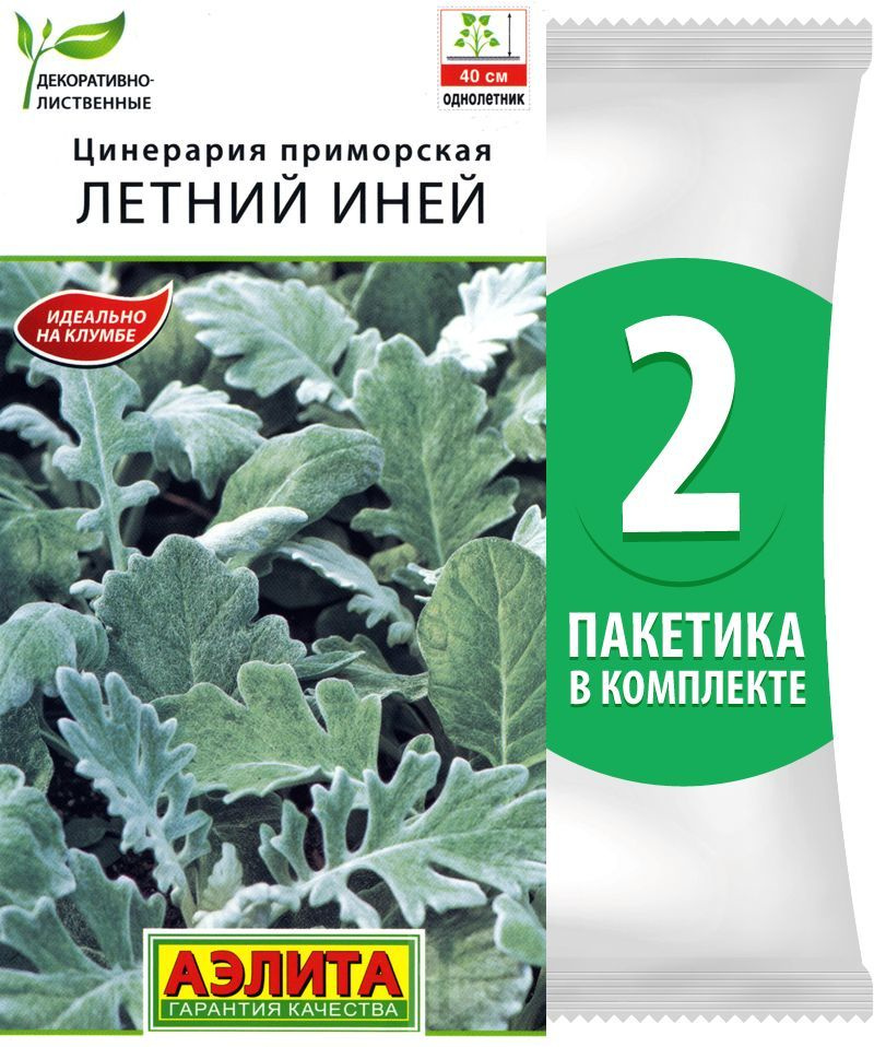 Семена Цинерария приморская Летний Иней, 2 пакетика по 0,1г/200шт в каждом  #1