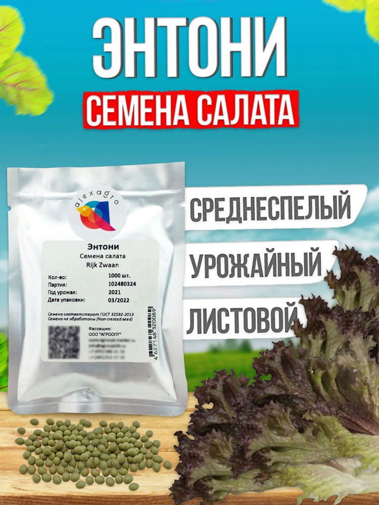 Энтони семена салата лолло росса, 1000 шт. (Rijk Zwaan / ALEXAGRO). Высокоурожайный гибрид для открытого #1