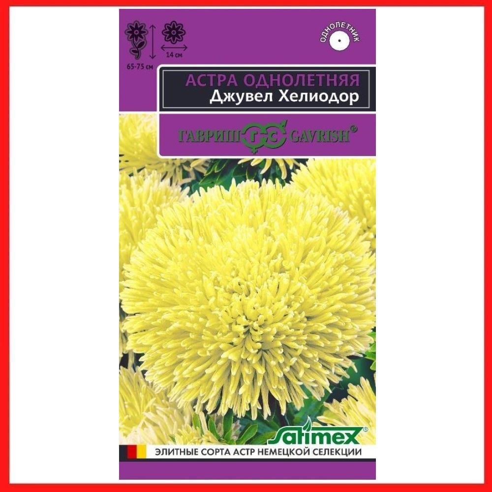 Семена Астра игольчато-коготковая "Джувел Хелиодор" 0,05 гр, однолетние цветы для дачи, сада и огорода, #1