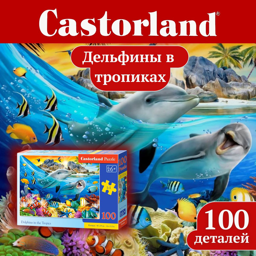 Пазл Castorland Дельфины в тропиках 100 элементов - купить с доставкой по  выгодным ценам в интернет-магазине OZON (1045406368)