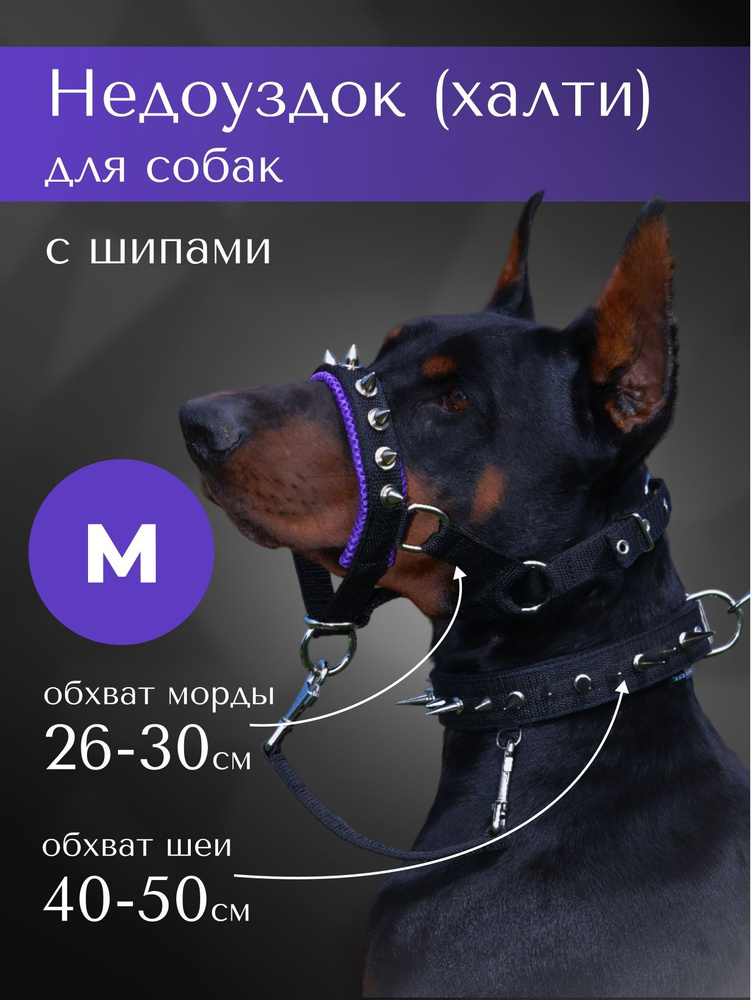 Недоуздок(халти)с шипами TESLA COLLAR для собак "M" с фиолетовым подкладом  #1