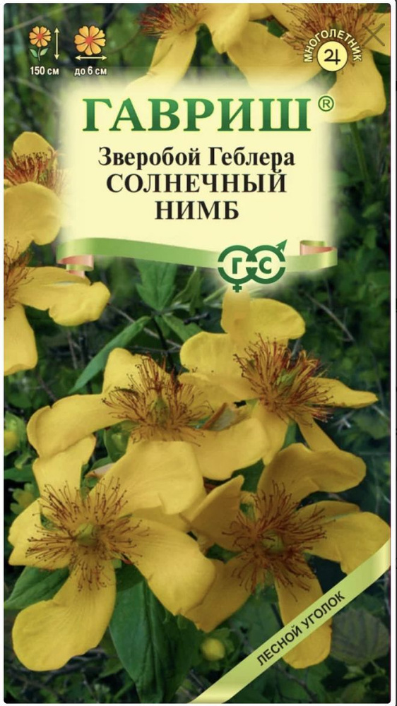 Зверобой Геблера Солнечный нимб, 1 пакет, семена 0,01 гр, Гавриш, лекарственные травы  #1