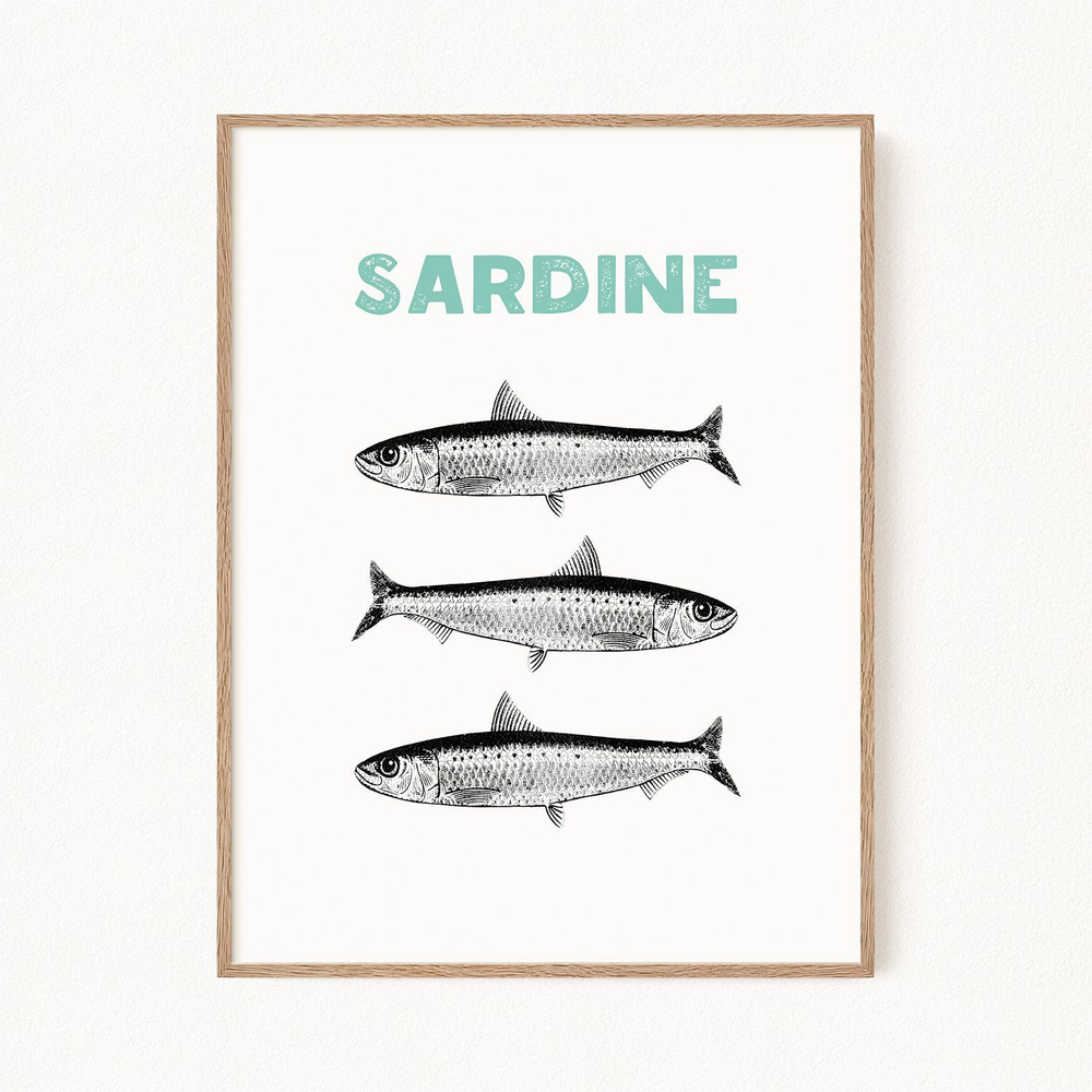 Постер для кухни "Sardine", 30х40 см #1