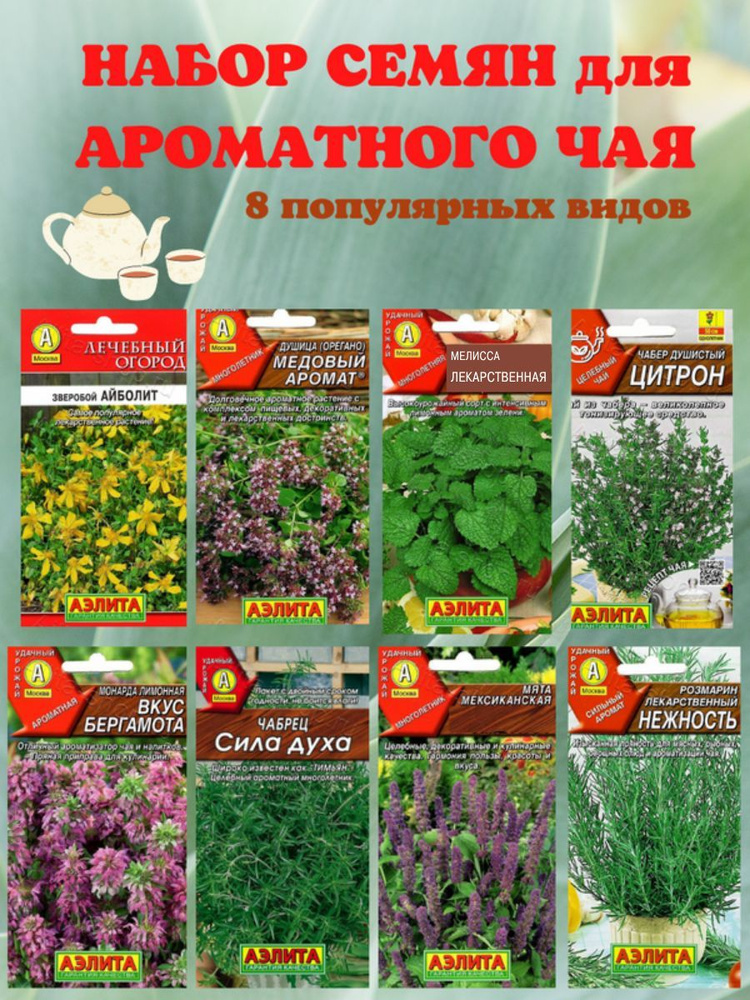 Аэлита Семена #1