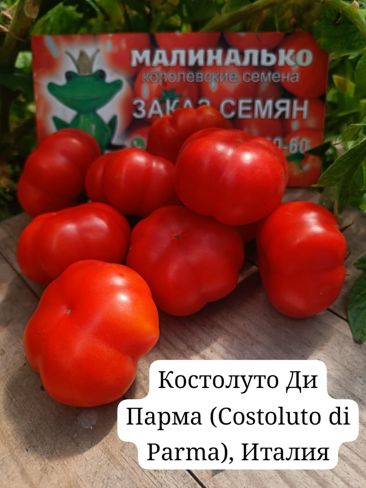 Семена #1