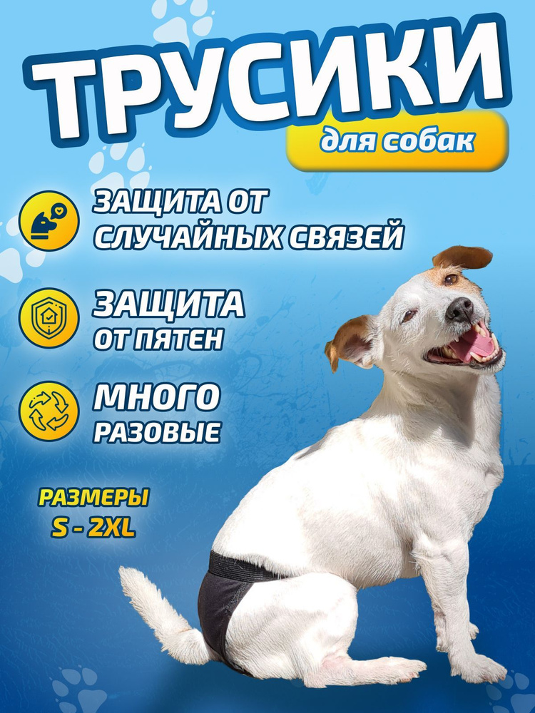 Трусы для собак при течке многоразовые, трусики для собак - купить с  доставкой по выгодным ценам в интернет-магазине OZON (1193052731)