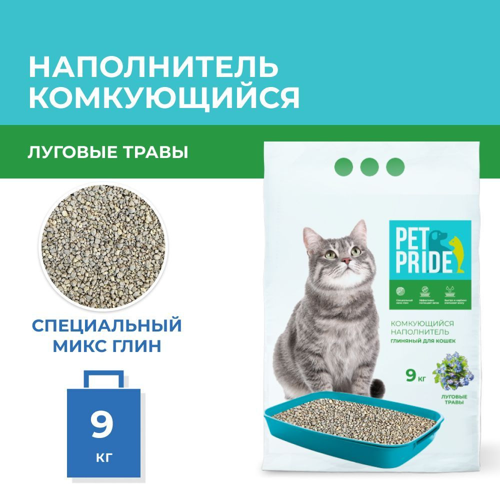 Кошка ест наполнитель для туалета из глины