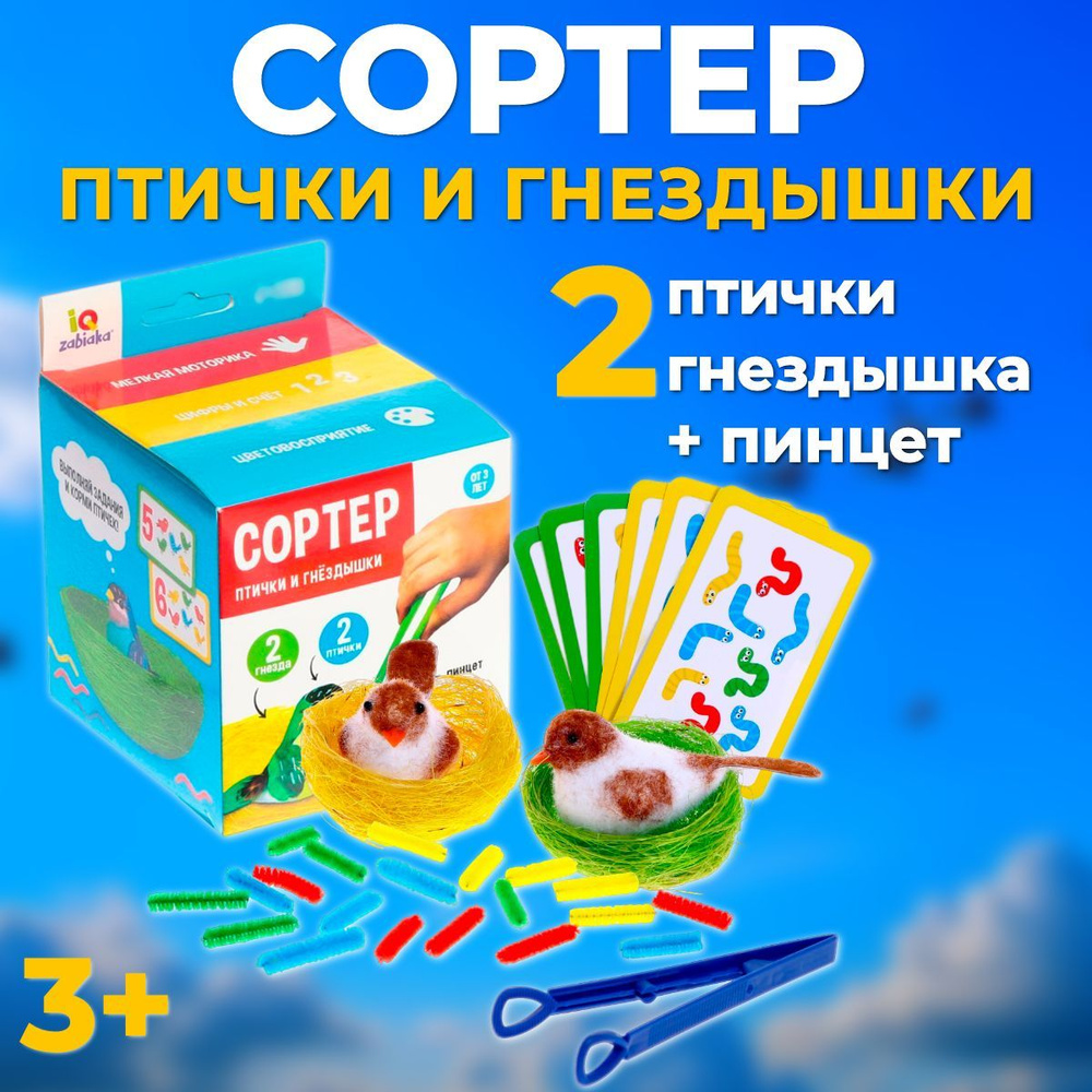 Сортер 