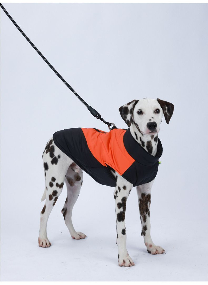 Жилет для собак мелких,средних и крупных пород - купить с доставкой по ...