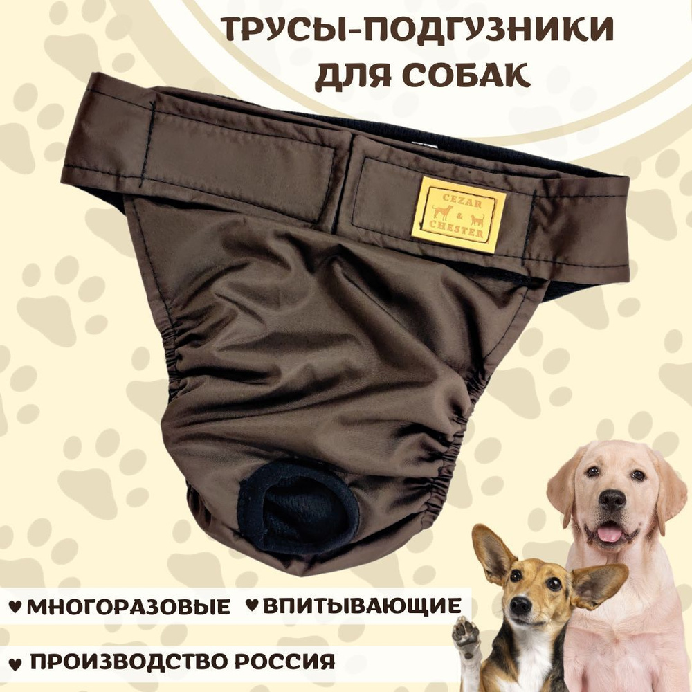 Многоразовые впитывающие непромокаемые трусы для собак памперс подгузник при  течке или недержании - купить с доставкой по выгодным ценам в  интернет-магазине OZON (648965685)