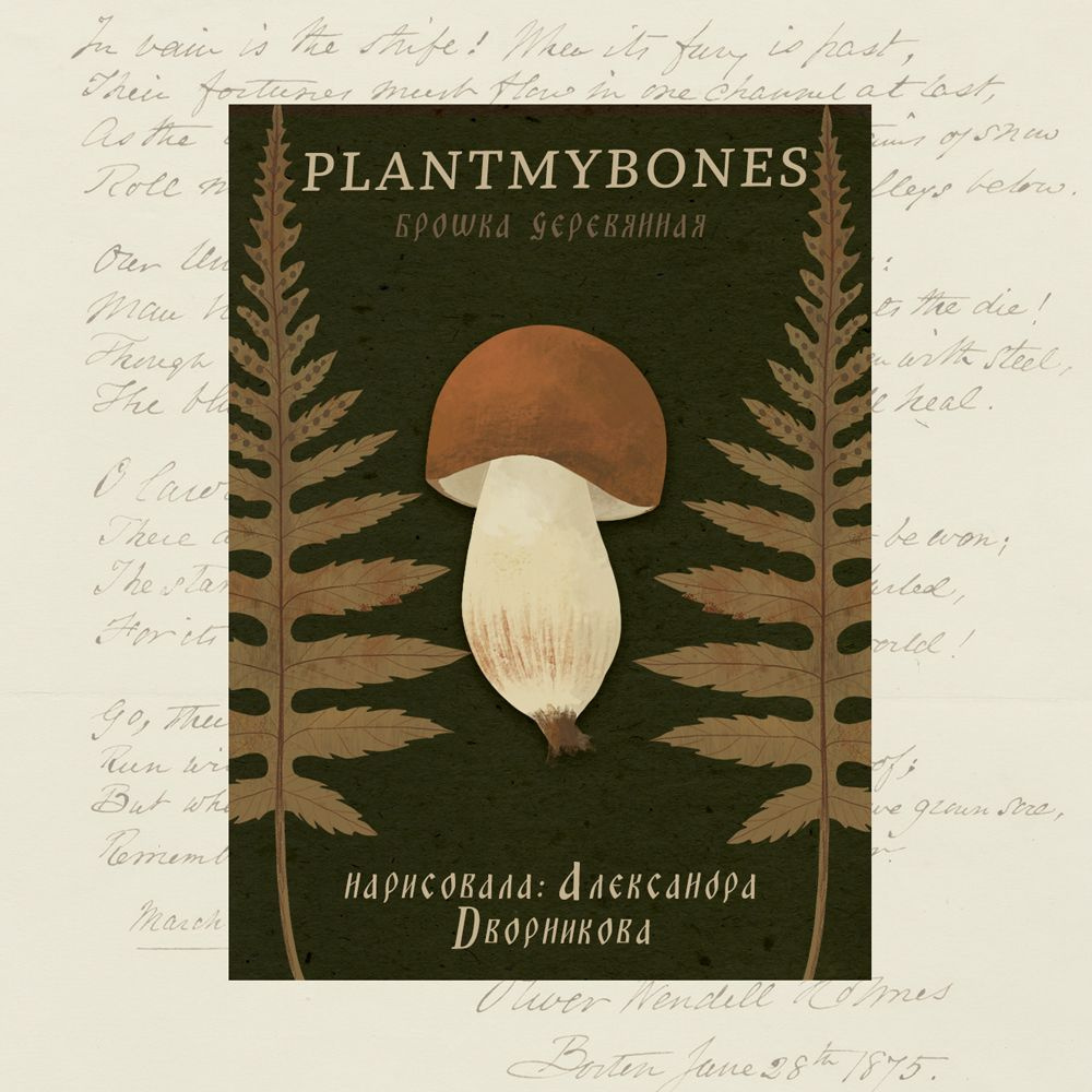 Деревянная брошь PlantMyBones, значок из дерева на замке-булавке с грибами: Белый грибочек  #1