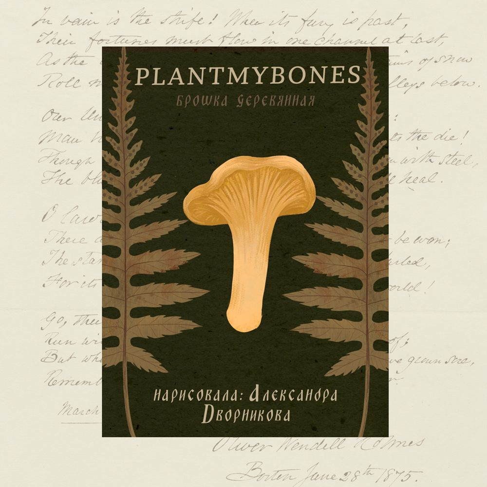 Деревянная брошь PlantMyBones, значок из дерева на замке-булавке с грибами: Лисичка  #1