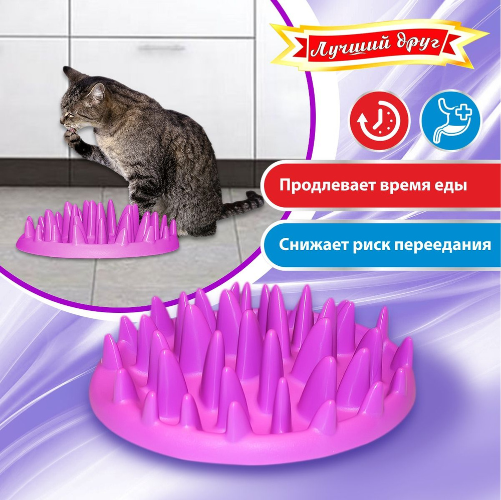 Фитнес-миска для кошек Лучший друг - купить с доставкой по выгодным ...