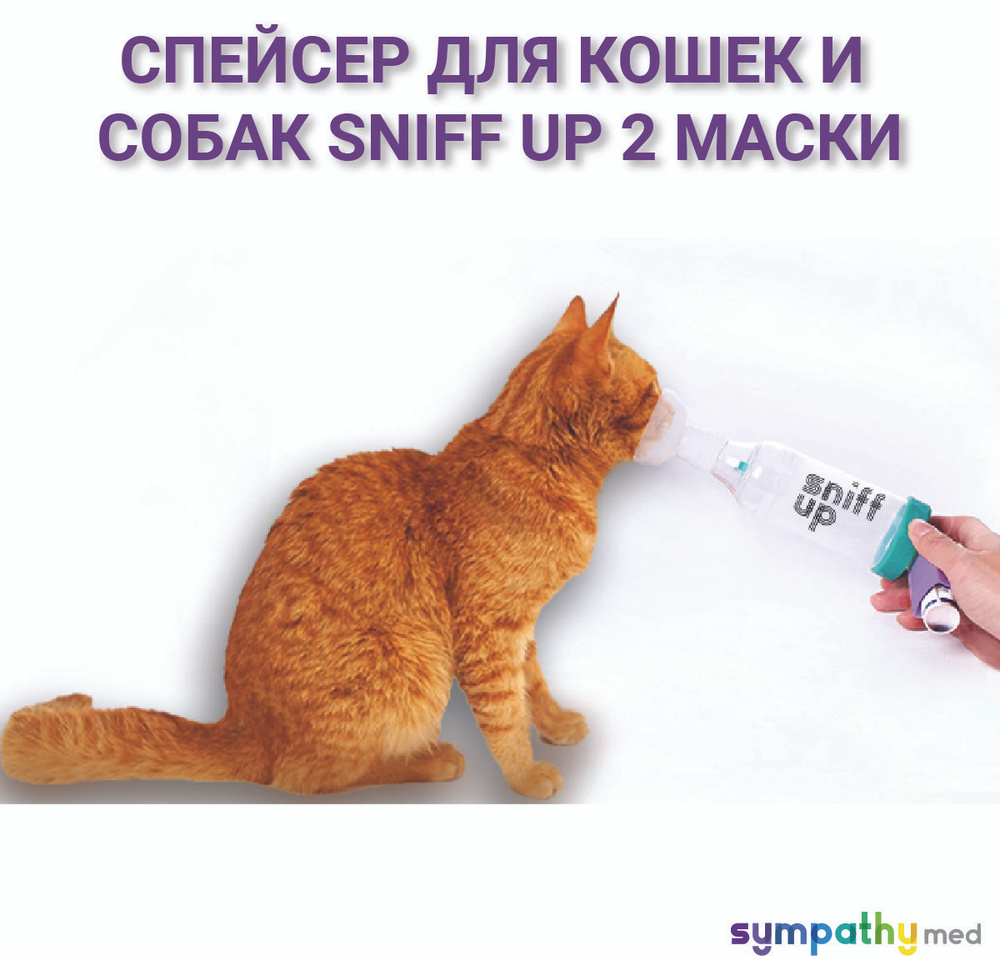 Спейсер (ингалятор) для кошек и собак Sniff up, 2 маски - купить с  доставкой по выгодным ценам в интернет-магазине OZON (858216353)