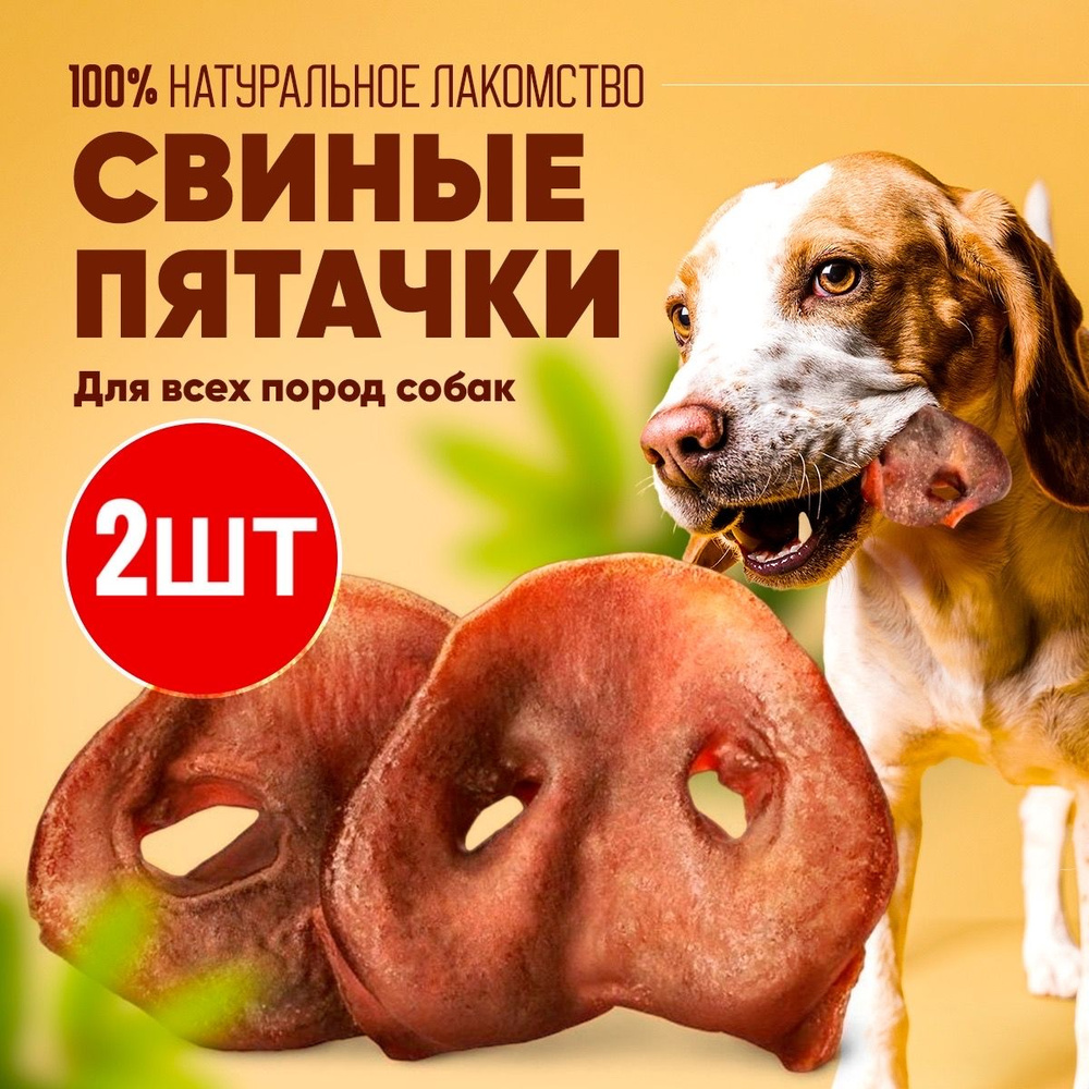 Пятачки свиные 2шт, для мелких, средних и крупных пород собак, для ...