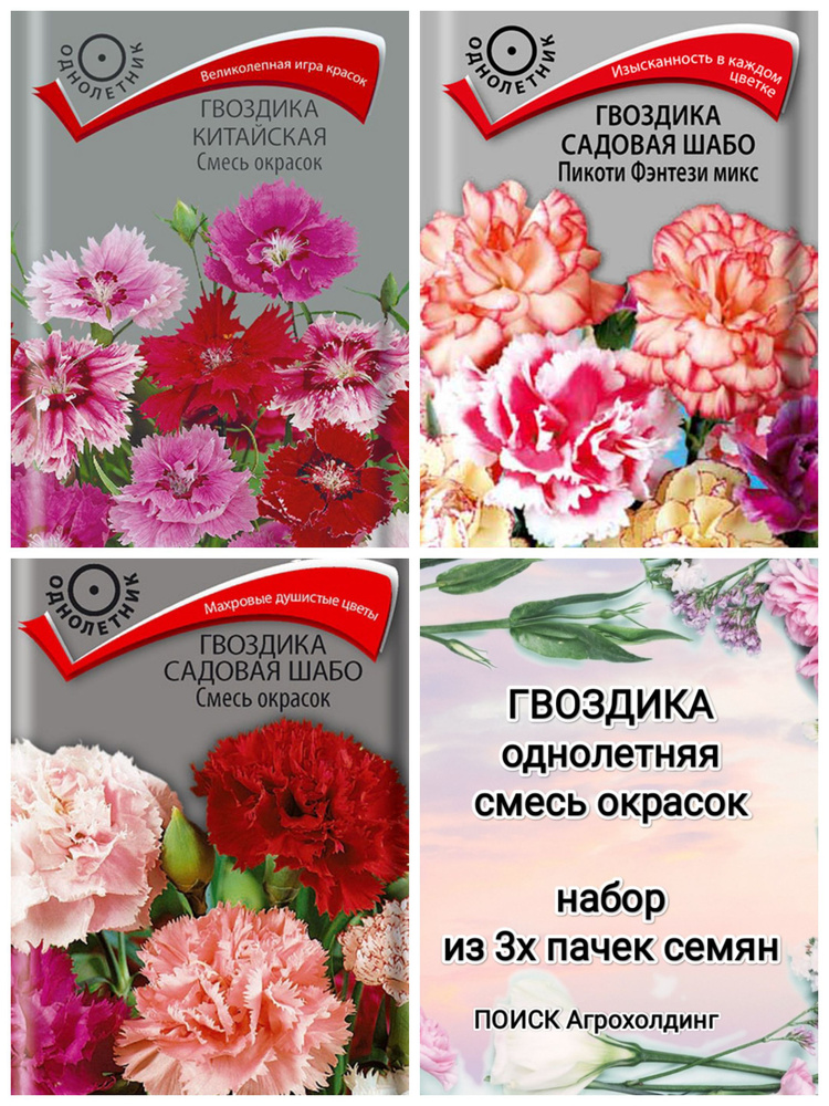 Гвоздика садовая Смесь окрасок, семена 3 пакета, однолетники, ПОИСК Агрохолдинг  #1