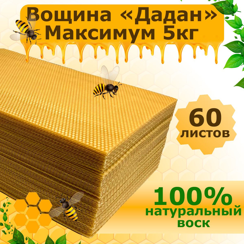 Вощина #1