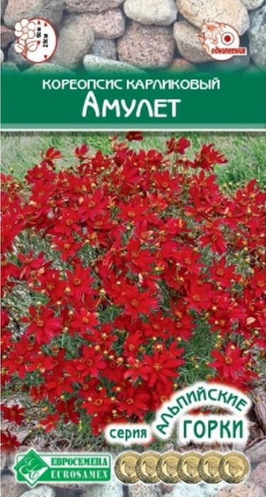 Кореопсис карликовый Амулет, семена цветов для альпийских горок, рокариев и бордюров, 0,1 г семян  #1