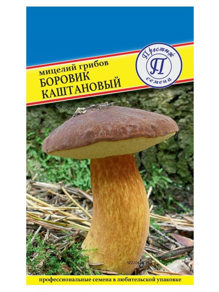 Мицелий грибов "БОРОВИК КАШТАНОВЫЙ" семена грибов #1