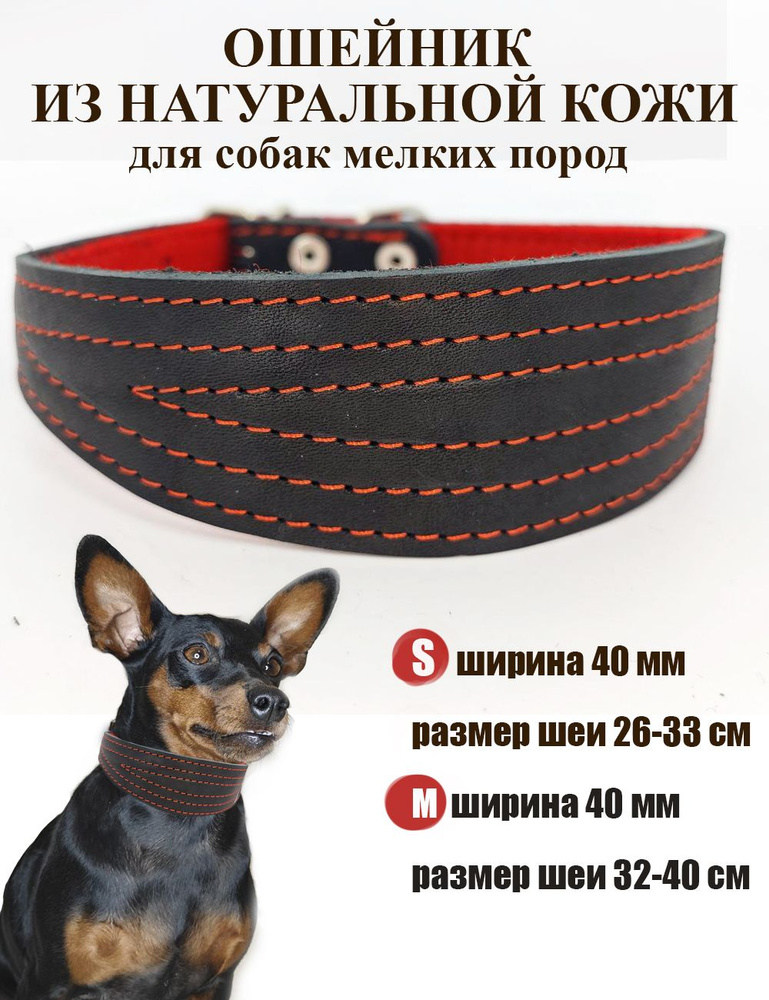 Кожаный ошейник селедка Dober-Крут для собак - купить с доставкой по ...