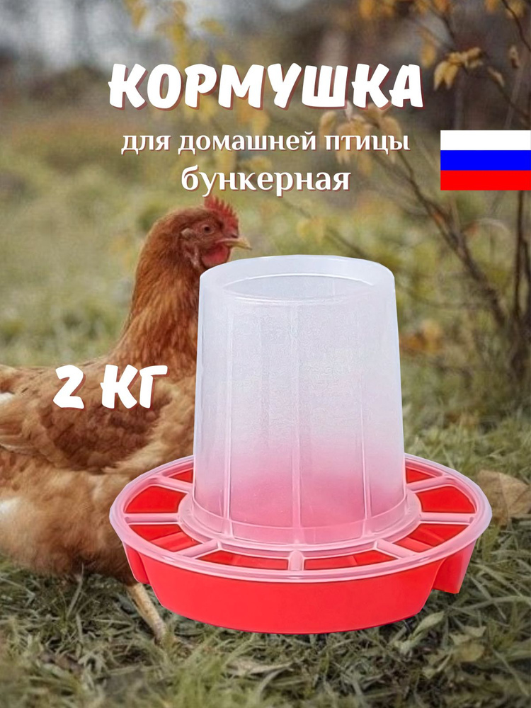 Кормушки для гусей и уток