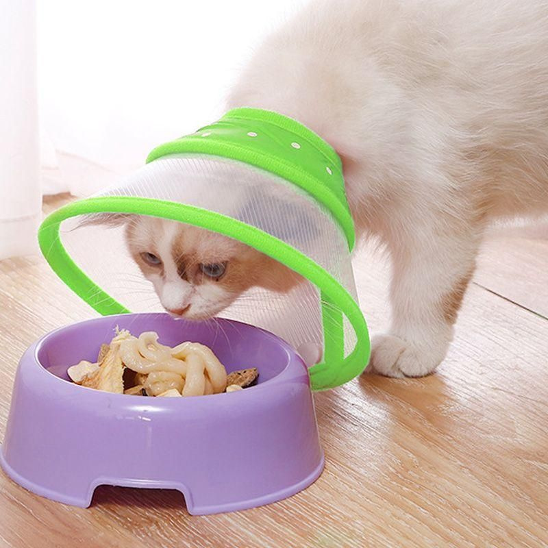 Ветеринарный защитный воротник для животных: кошек и собак - купить с ...