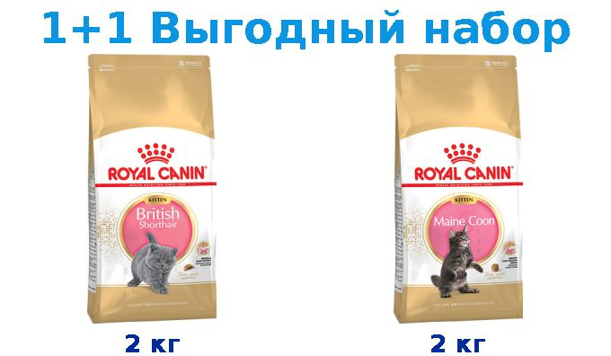 Сухой корм Котята, Royal Canin Breed cat Kitten British Shorthair 2 кг + Котята, Royal Canin Breed cat #1