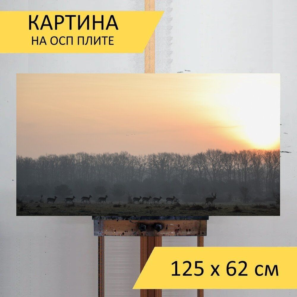 LotsPrints Картина "Олень, нидерланды, природа 59", 125  х 62 см #1
