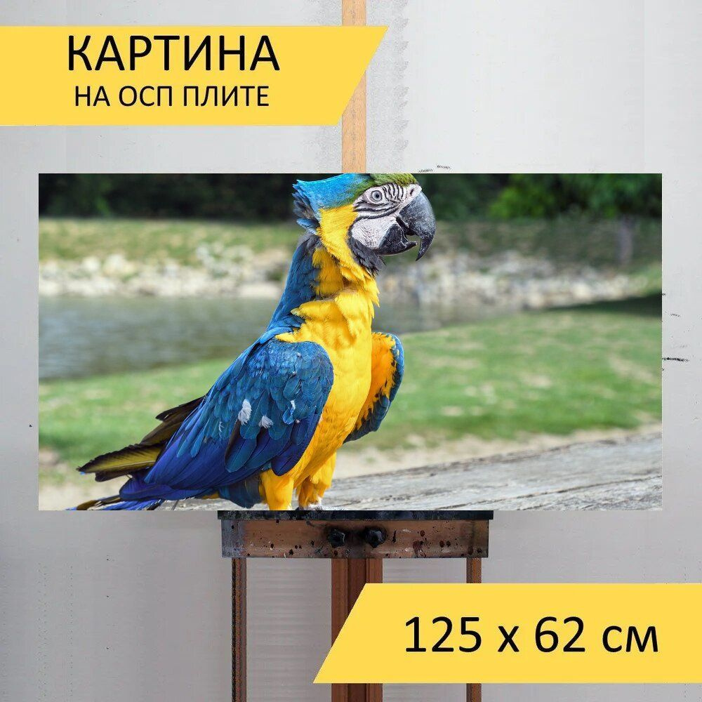 Картина птиц 