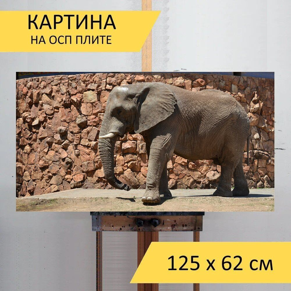 LotsPrints Картина "Слон, животное, большой 90", 125  х 62 см #1