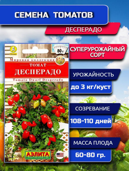 Семена:Томат Гном Десперадо /Отчаянный /Dwarf Desperado/ США. Сорта карлики и Гн