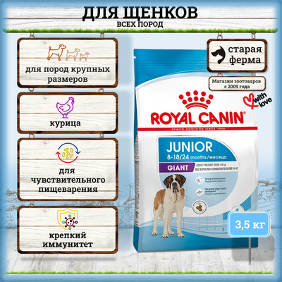 Royal Canin Giant Junior Active Hundefutter – 15 Kg Sack Für Große Junghunde, Energie- Und Nährstoffreich