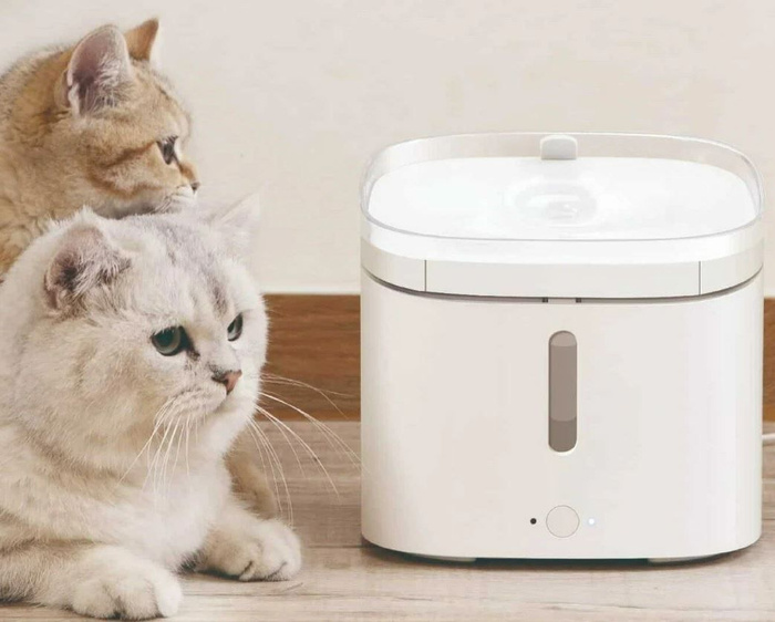 Xiaomi kitten. Xiaomi Smart Pet Fountain. Xiaomi Mijia Smart Pet Water Dispenser xwwf01mg. Автопоилка Xiaomi Petoneer Smart Pet Water Dispenser. Умная автопоилка для животных Xiaomi Mijia Smart Pet Water Dispenser (xwwf01mg).