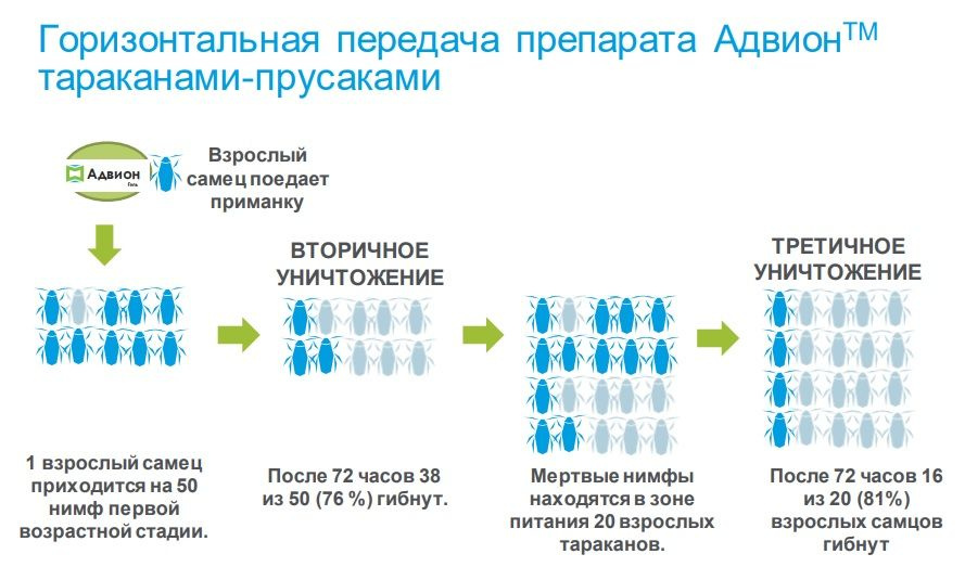 Текстовое описание изображения