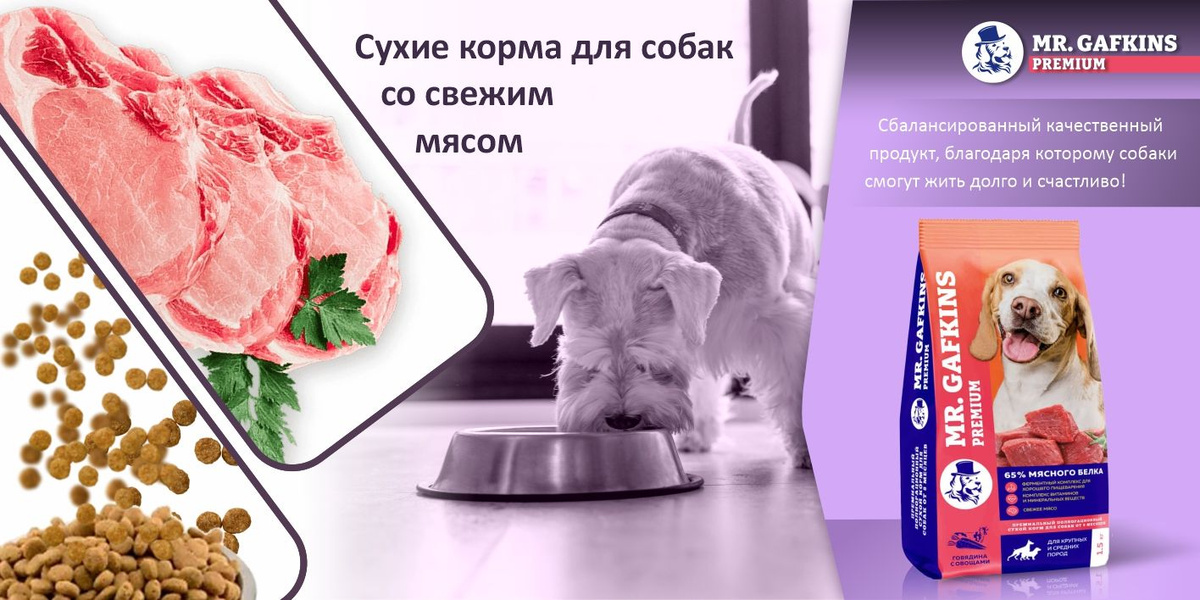 Сухие корма для собак со свежим мясом