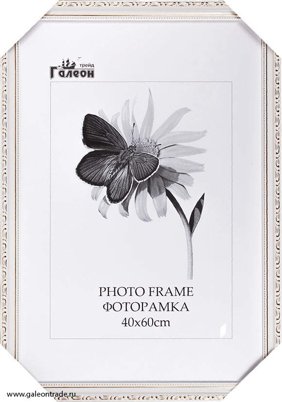 Фоторамка пластиковая 40 х 60 см, 3011CI-012ALI