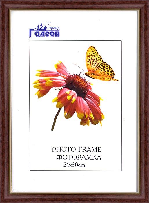 Фоторамка пластиковая 21 х 30 см, коричнево-красная