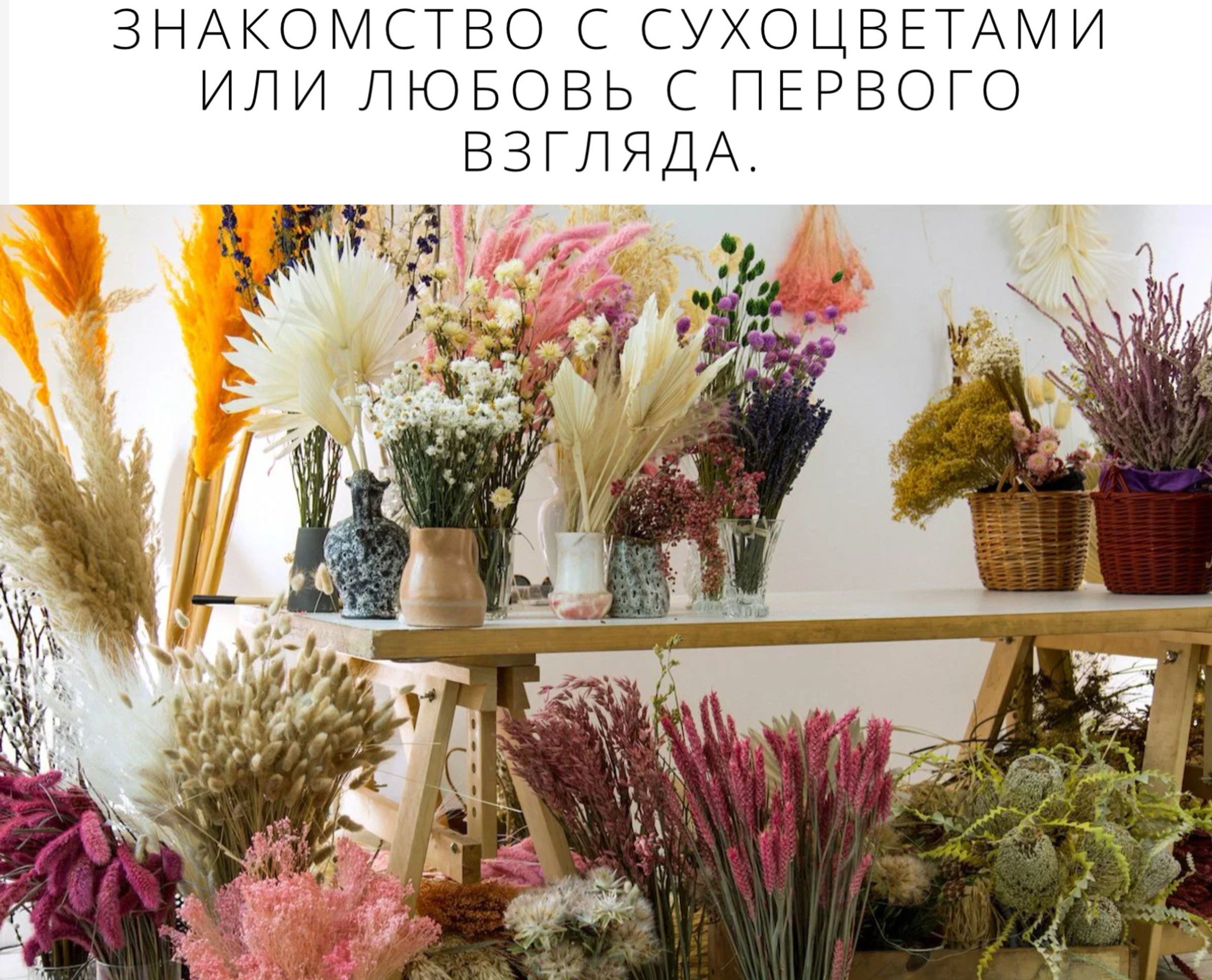 Можно ли дома сухоцветы в вазе