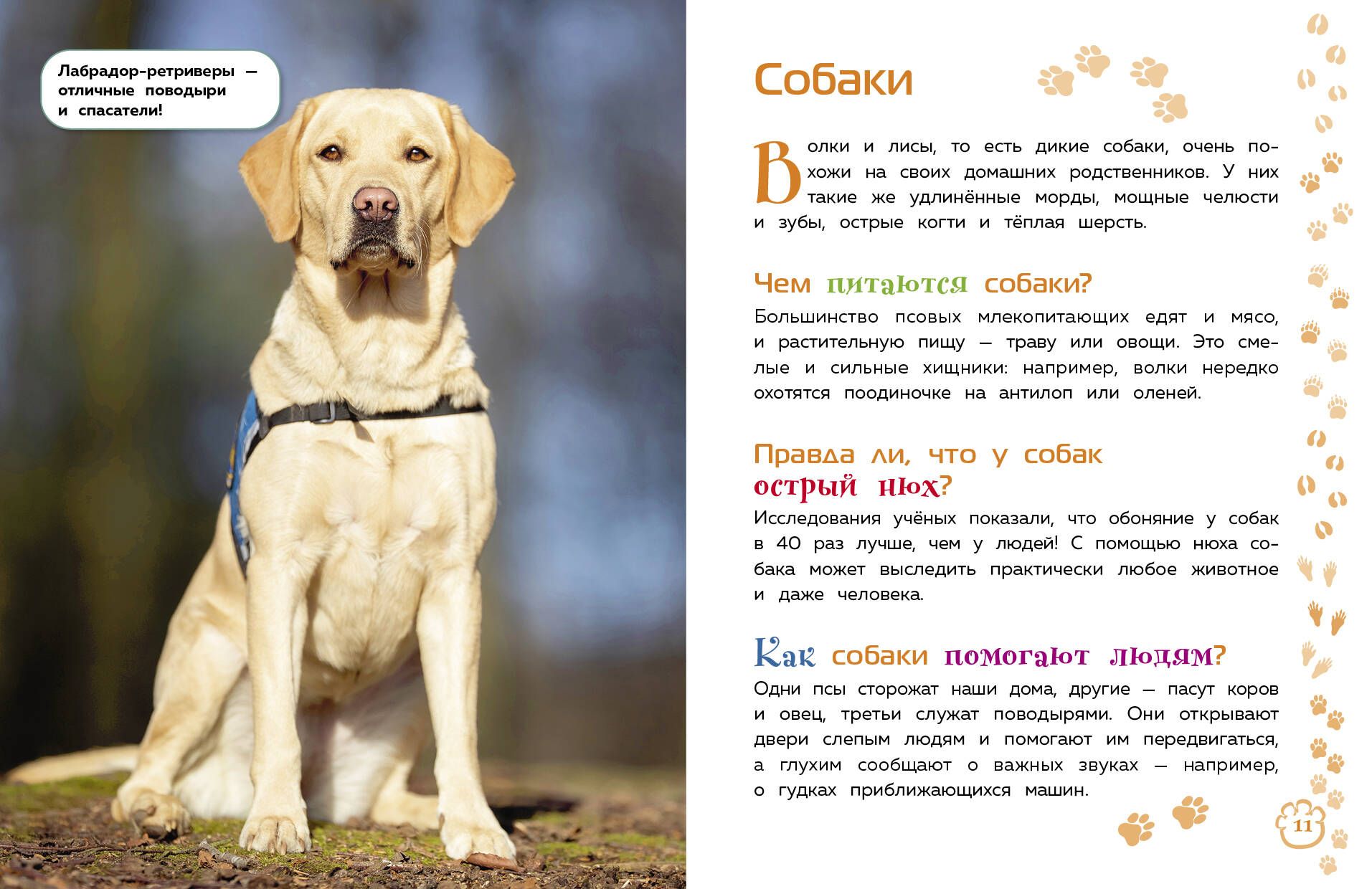 Животные. Большая детская энциклопедия | Reference Book - Ozon image 3