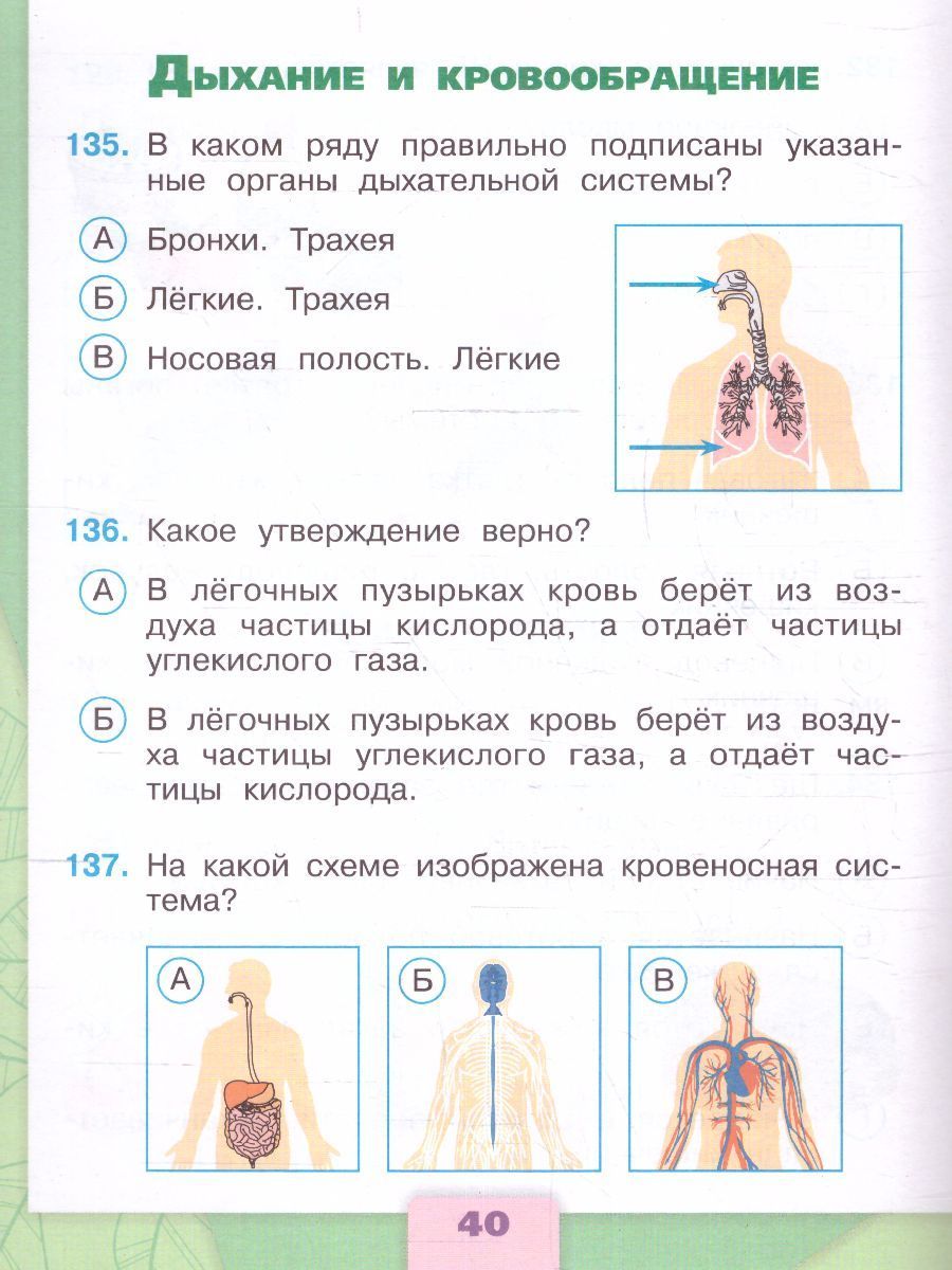 Окружающий мир 3 класс. Тесты к новому ФП. УМК "Школа России". ФГОС | Reference Book - Ozon image 6