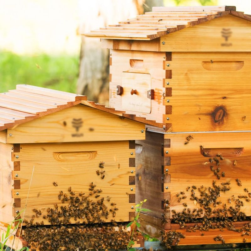Улий. Улей (2020) hive. Улик дадан. Улей объявления. Лежак на 24 рамки.