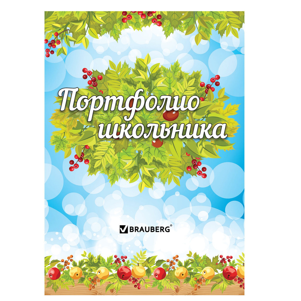 Brauberg Папка-портфолио A4 (21 × 29.7 см), 16 шт. #1