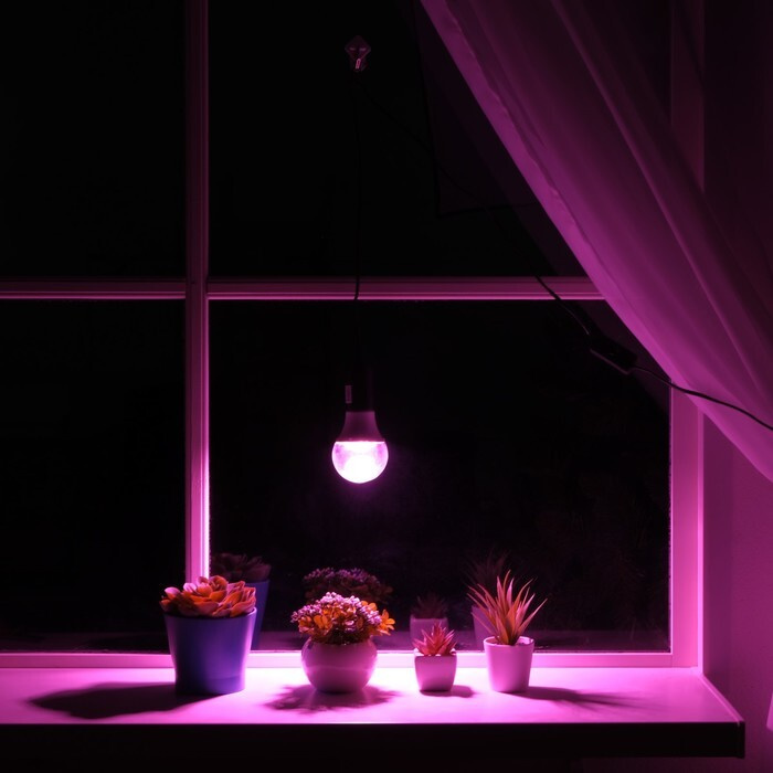 Три простых способа установить подсветку для растений, не испортив окно. | Усадебка | Дзен