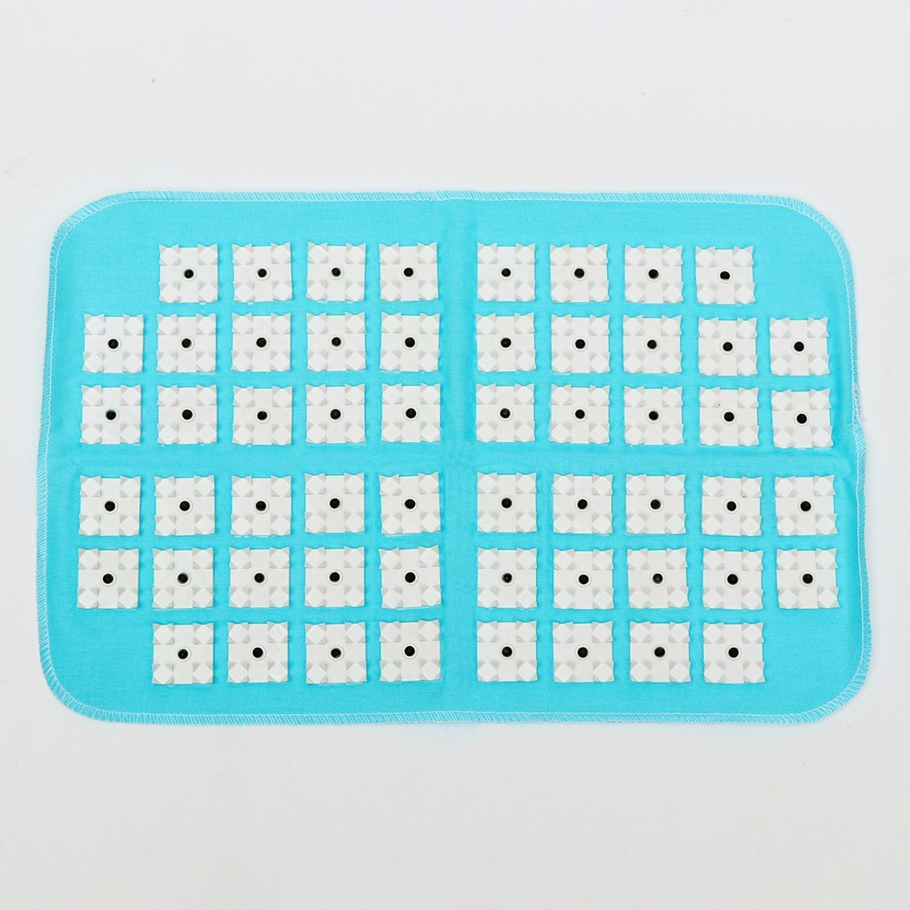 Аппликатор игольчатый - Магнитная энергия BIOMAG - БИОМАГ - купить с ...