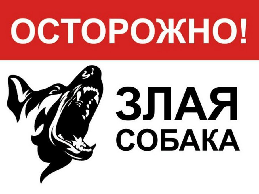 Табличка на дверь 15х20, 1шт, ОСТОРОЖНО ЗЛАЯ СОБАКА, УФ-печать, ПВХ 4мм, Рекламастер. / информационная #1