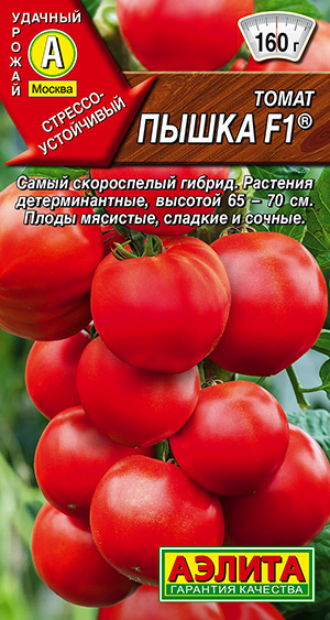 Томат Пышка ультраскороспелый низкорослый для открытого грунта и теплиц  #1